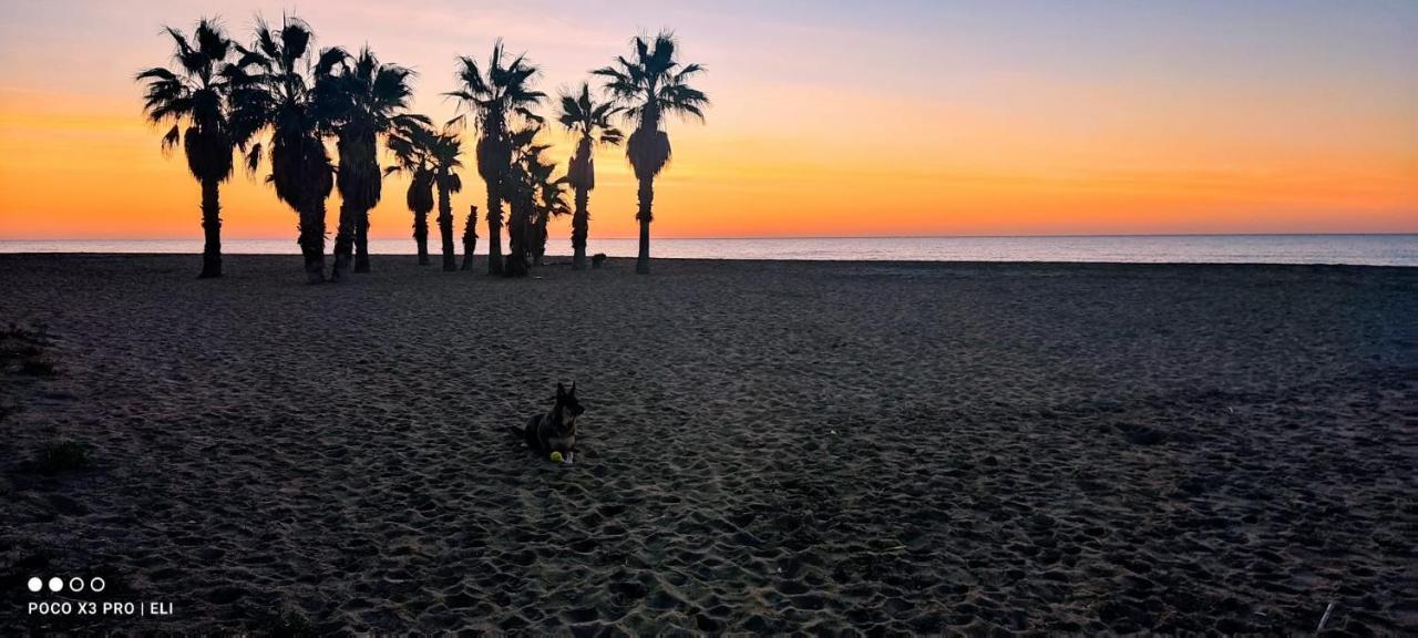 Encantador Apto En La Playa Coma-ruga Exteriér fotografie