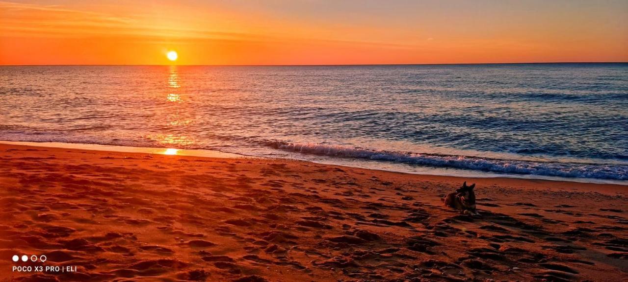 Encantador Apto En La Playa Coma-ruga Exteriér fotografie